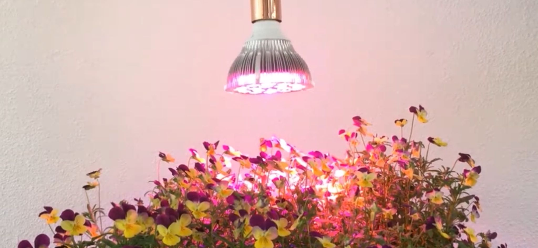 PAR/E27 LED Groeilampen - kweeklampen om je planten te verlichten.