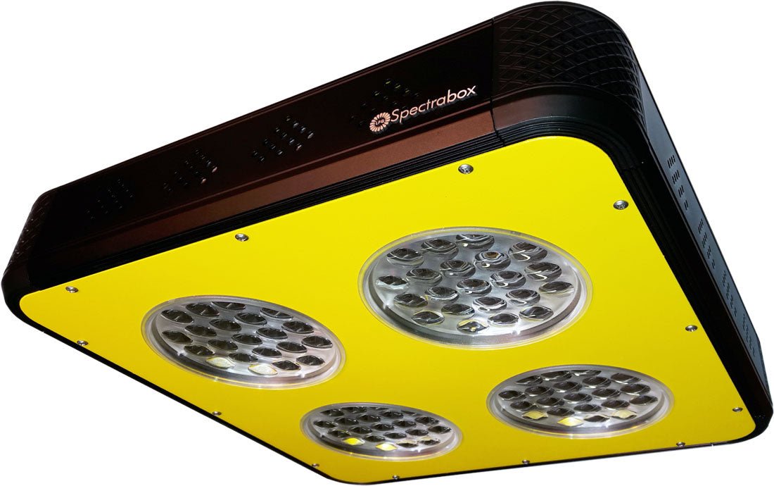 Spectrabox - Het LED Warenhuis
