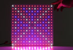 40 watt LED groeipaneel - DIY - Het LED Warenhuis
