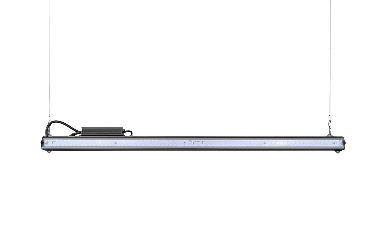 Kind XD75 LED growbar - Het LED Warenhuis