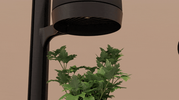 Mother Forest - 8 PlantPods I greenwall-systeem - Het LED Warenhuis